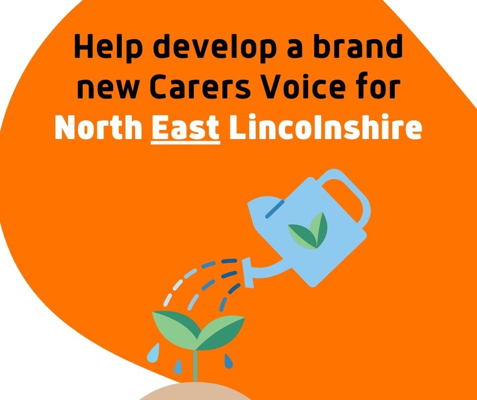 Help Develop a Carers Voice in North East Lincolnshire